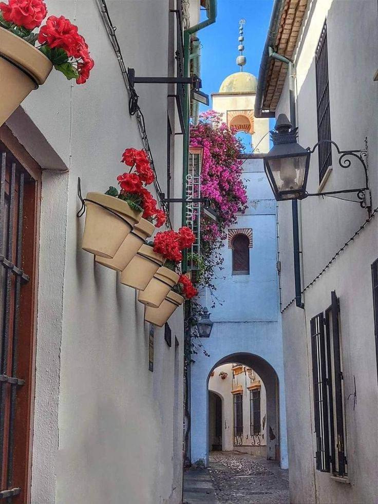Precioso Loft El Arcangel Junto A La Ribera Córdoba Exterior foto
